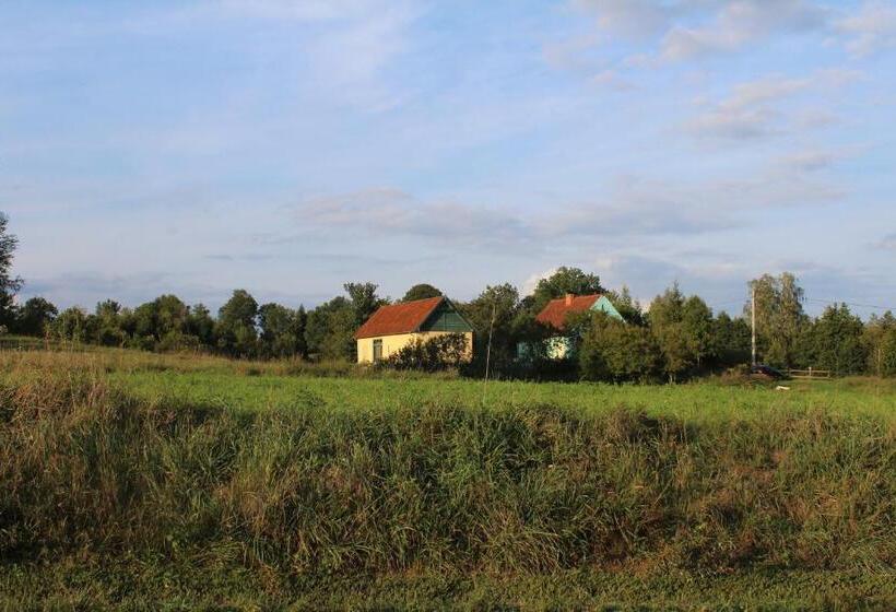 בית מלון כפרי Pod Tulipanem Nad Jeziorem