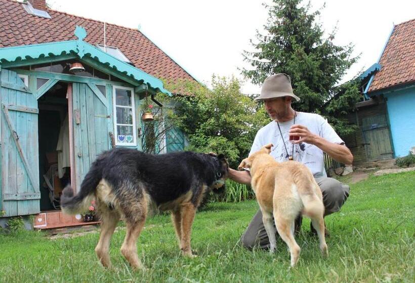 בית מלון כפרי Pod Tulipanem Nad Jeziorem