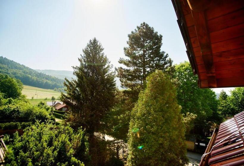 ペンション Pokoje U Anny