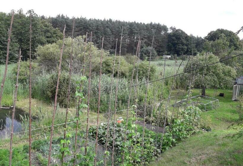 پانسیون Wiktorówka