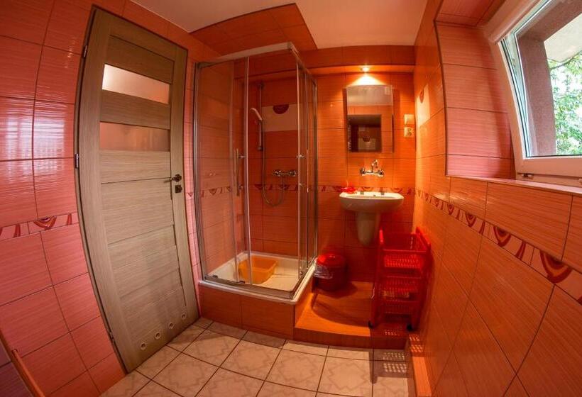 بنسيون Willa Danuta