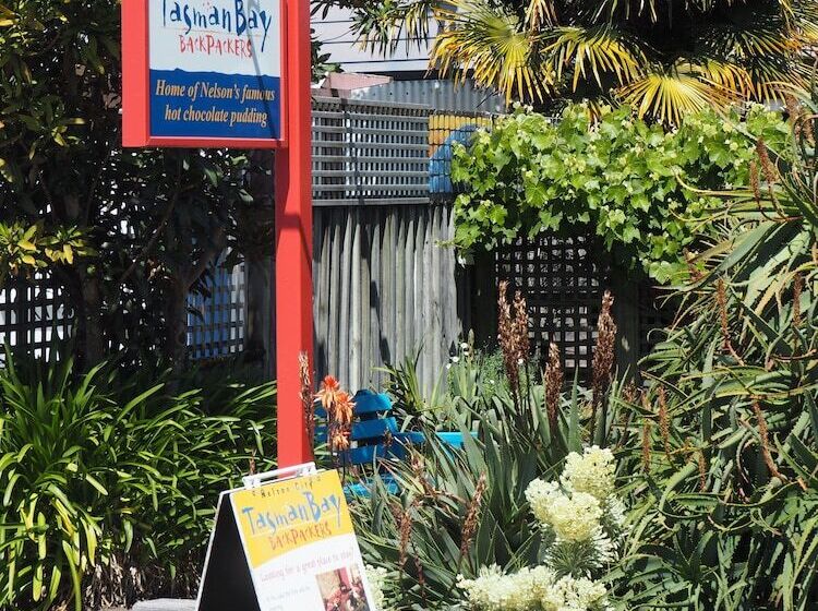 هاستل Tasman Bay Backpackers