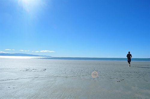 هاستل The Customhouse