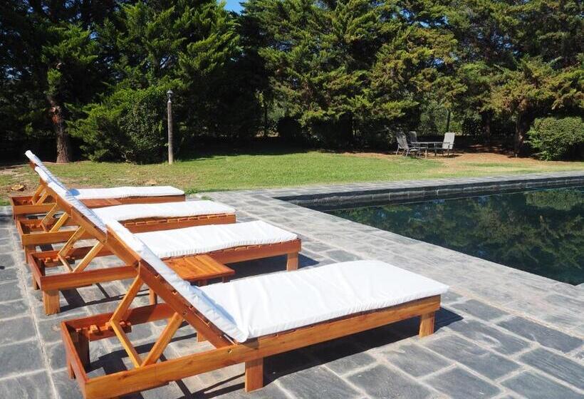 مبيت وإفطار Villa Victoria Lodge