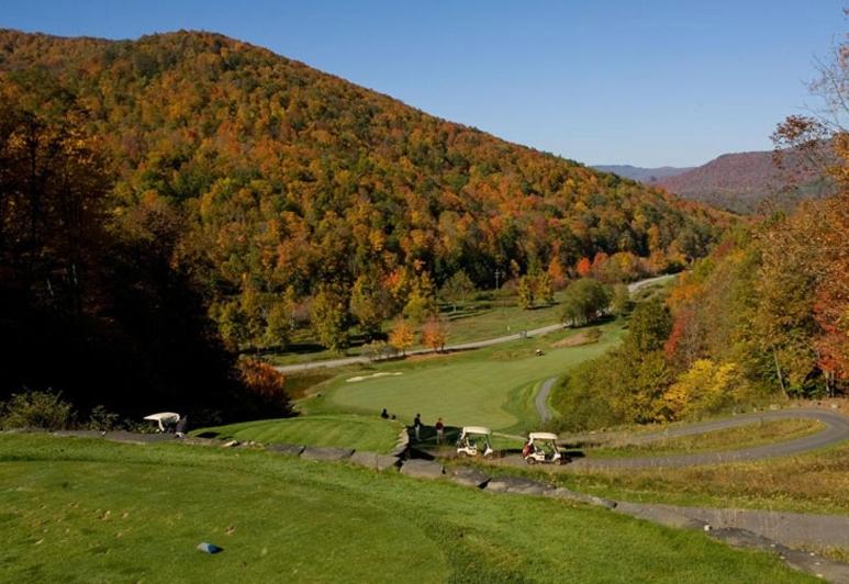 هتل Allegheny Springs