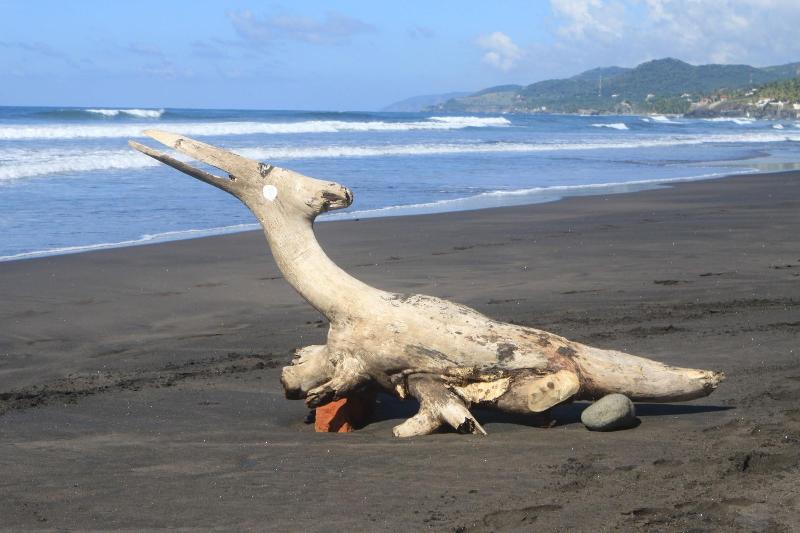 هتل Sabas Beach Resort