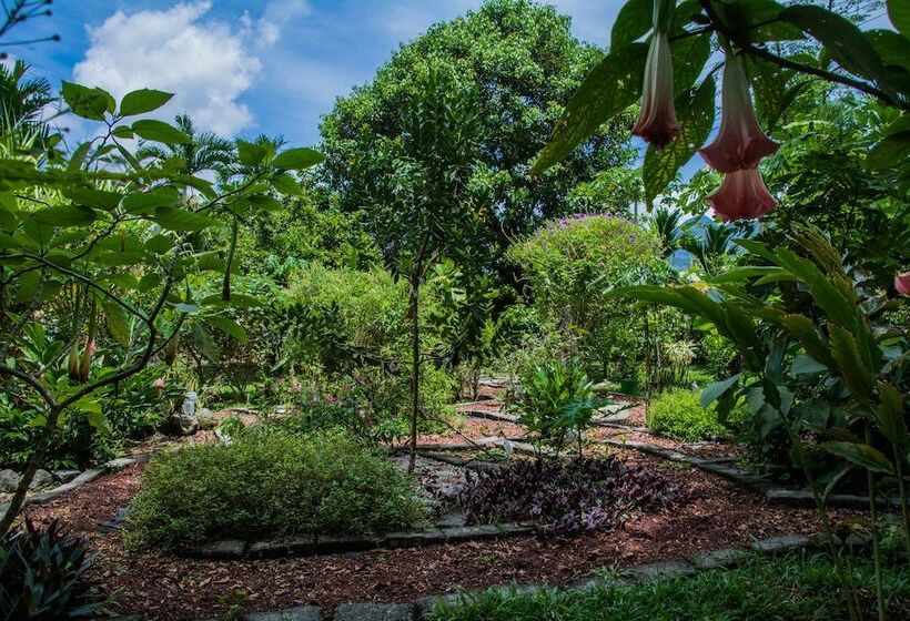 هتل Vista Del Cerro