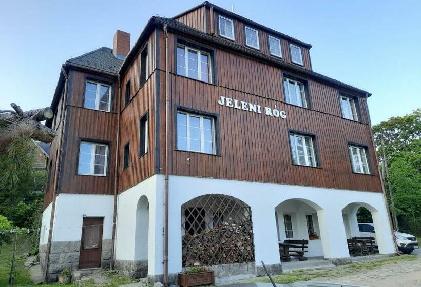 Bed and Breakfast Pensjonat Jeleni Róg