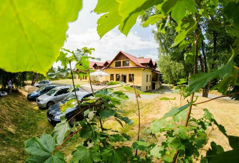 Bed and Breakfast Pensjonat Lew Jaskiniowy