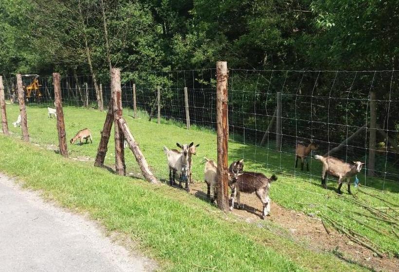 هتل Agroturystyka,, Ranczo Kruszynki