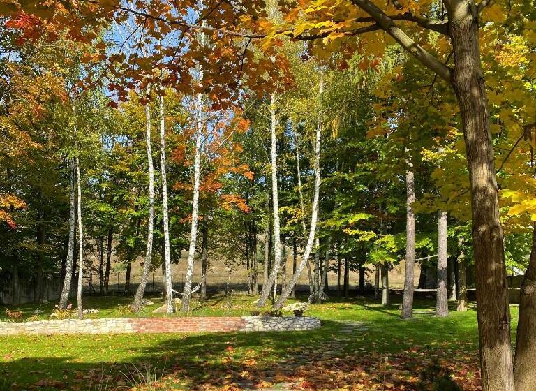 بنسيون Przytulia