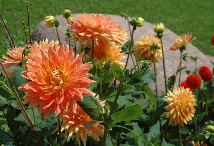 אתר נופש Majątek Giże Marczak