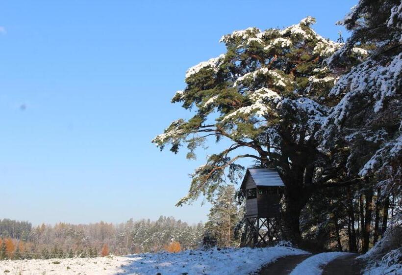 צימר Oaza Mazurska   Willa Lasek