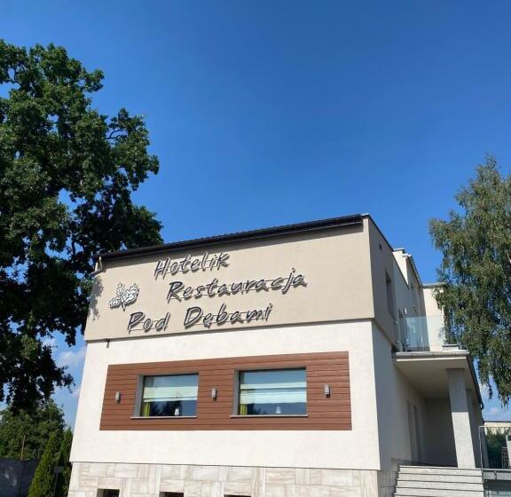 旅馆 Ik B&b Pod Dębami
