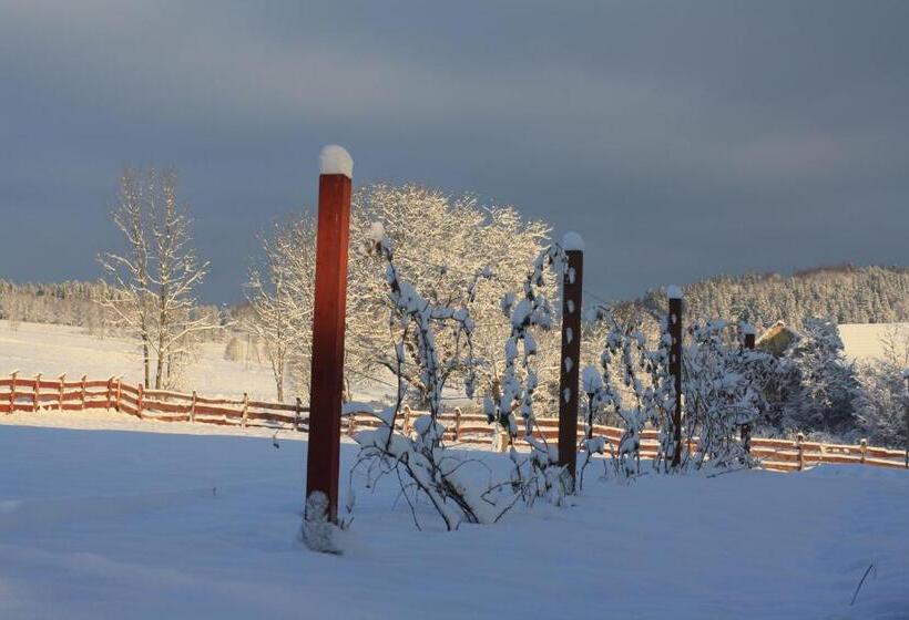 تختخواب و صبحانه Dom Na Klonowym Wzgórzu