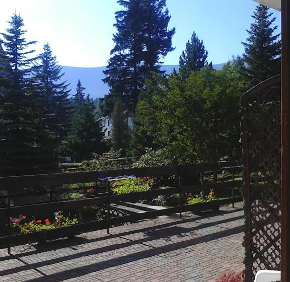 تختخواب و صبحانه Willa Grafit