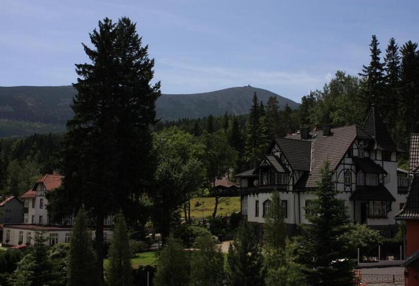 تختخواب و صبحانه Willa Grafit