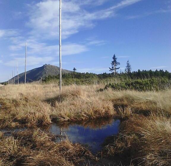 تختخواب و صبحانه Willa Grafit