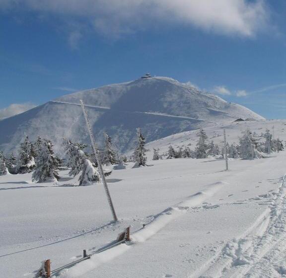 تختخواب و صبحانه Willa Grafit