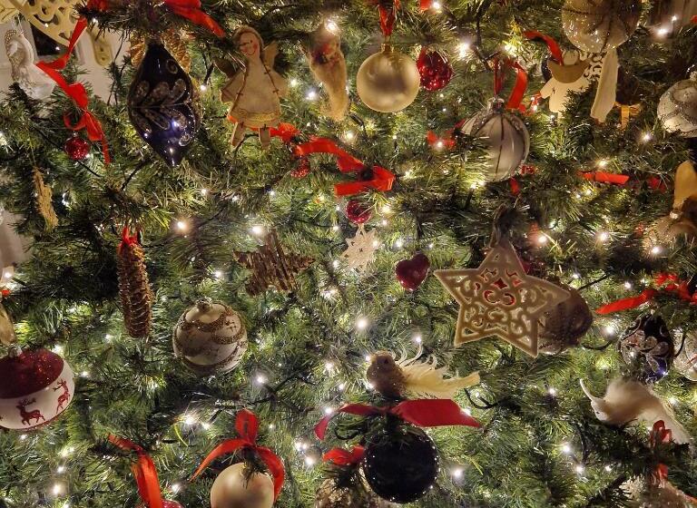 ベッドアンドブレックファースト Willa Marysin