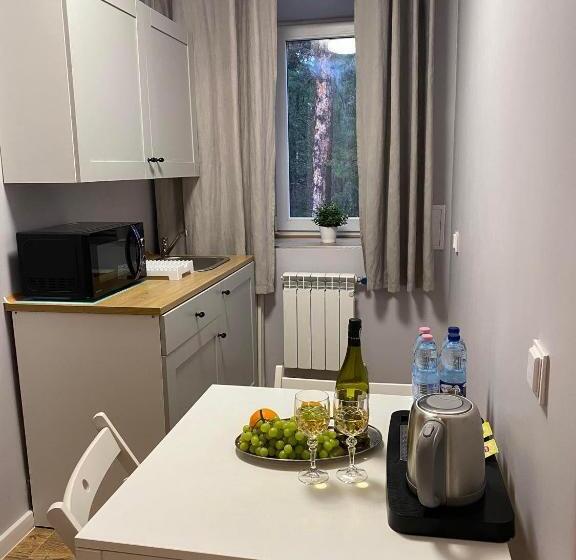 تختخواب و صبحانه Willa Sonata   Apartamenty & Balia   Szklarska Poręba
