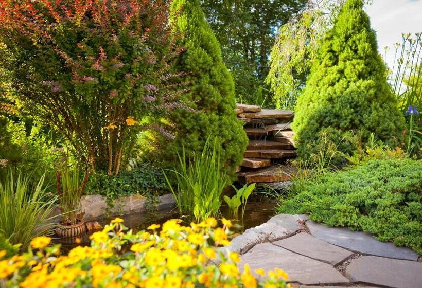 住宿加早餐  Willa Trela