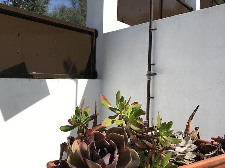 مبيت وإفطار Casa Da Oliveira