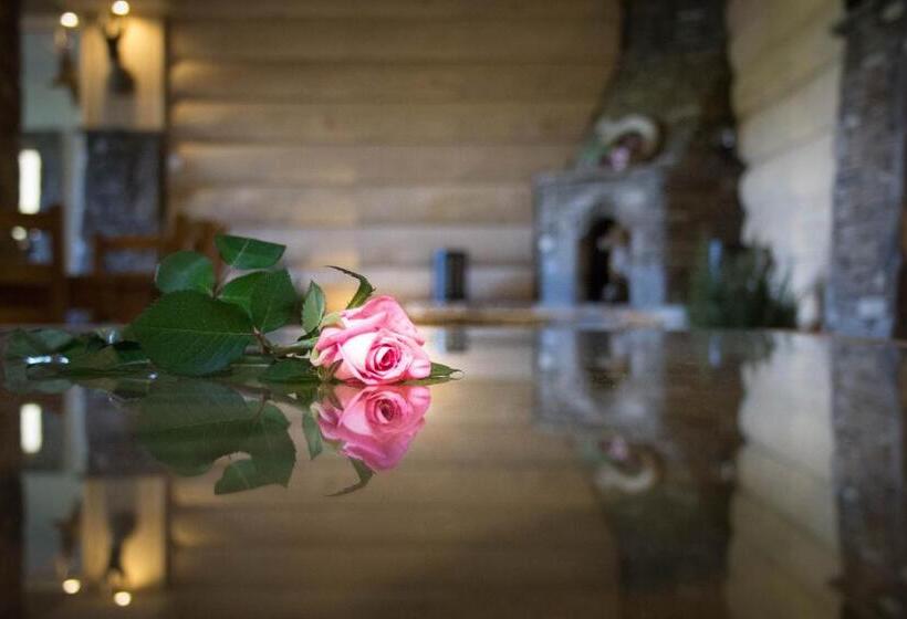 تختخواب و صبحانه Willa Bukowina