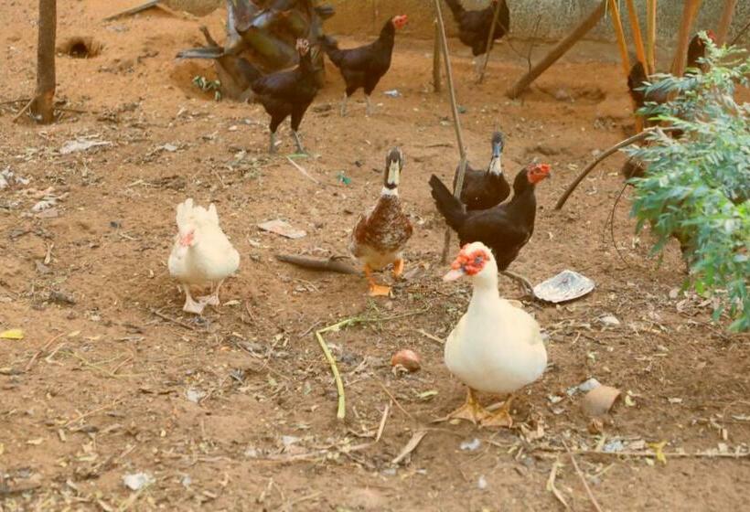 Farmdean Resort