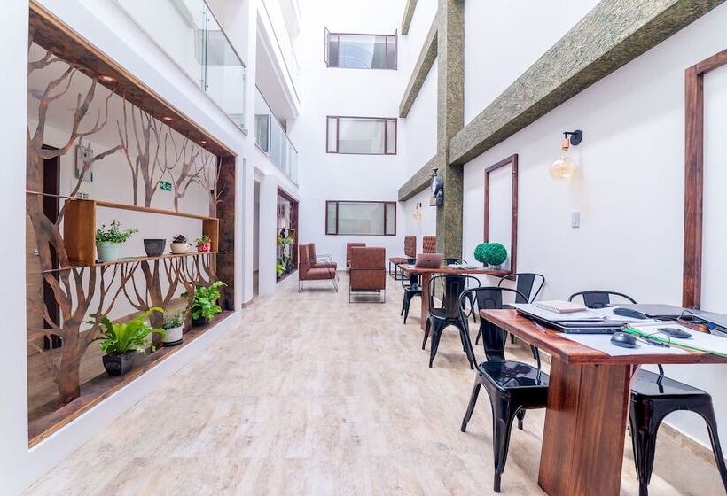 هتل Ayenda Boyaca Vip