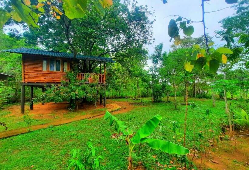 Отель Tree House 4 Nature Lovers