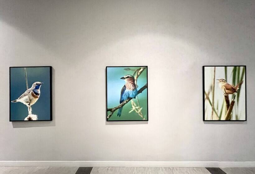 هتل Le Vert Boutique