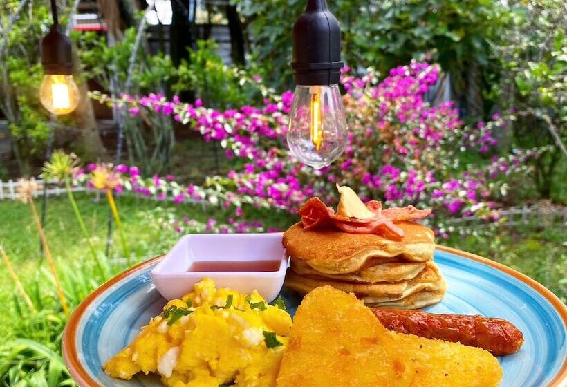 تختخواب و صبحانه Casa Skema   Garden