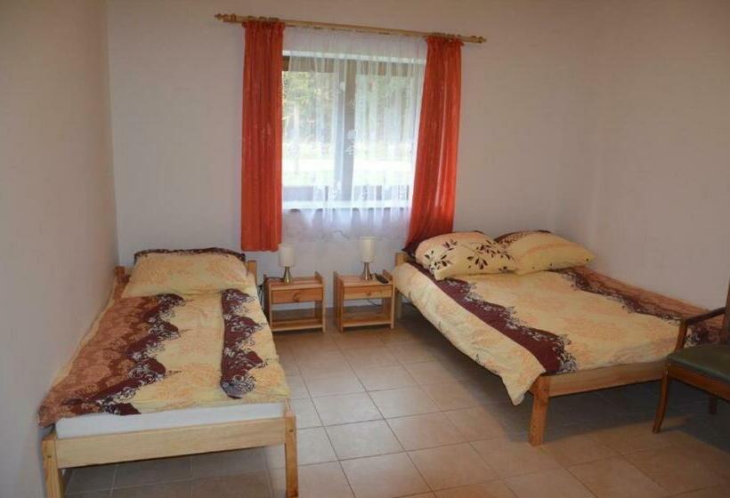 Отель Agroturystyka U Siwego