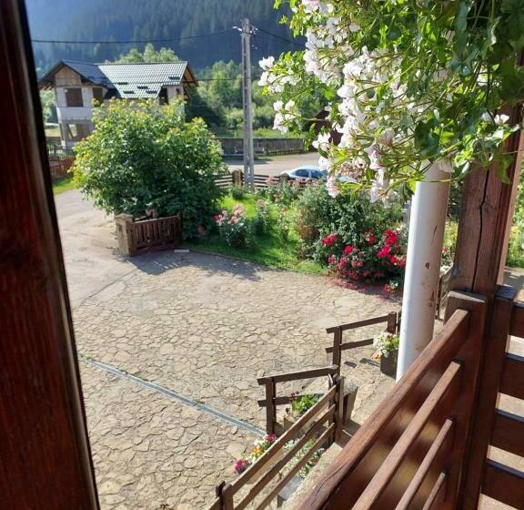 بنسيون Casa Sandu Sadova