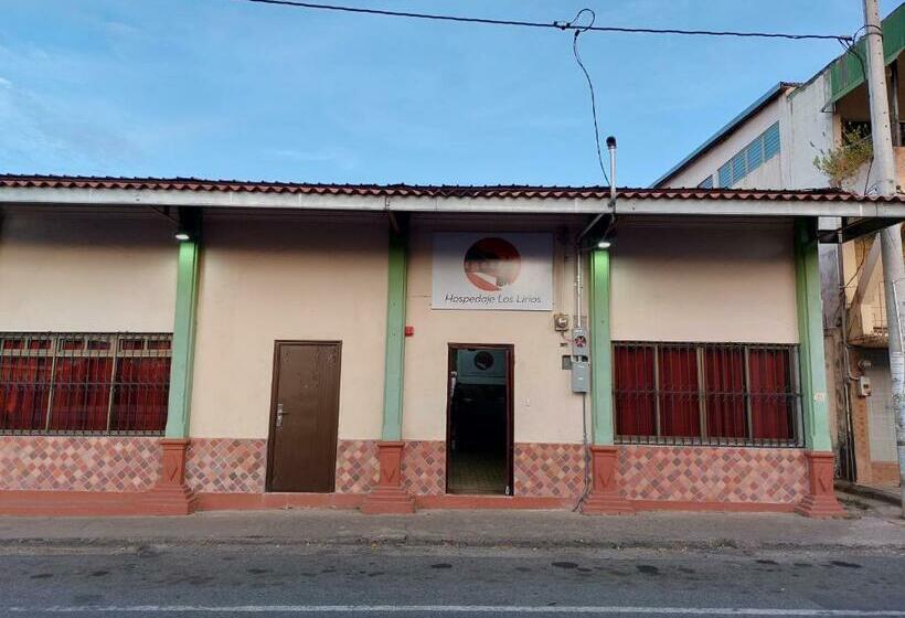 Пансион Hospedaje Los Lirios Chitré