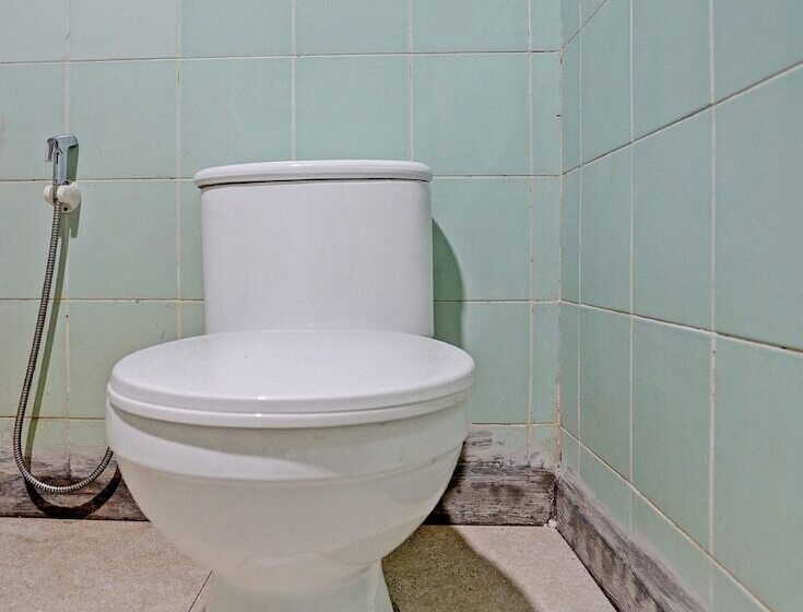 Capital O 92162 Hotel Wisata Karya