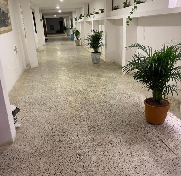 هتل Palma Azul Beach