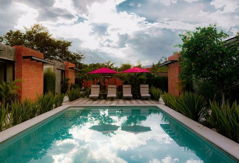 Casa 8 Maltas