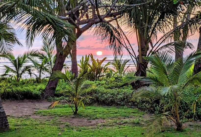 酒店 Salvatierra Beachfront