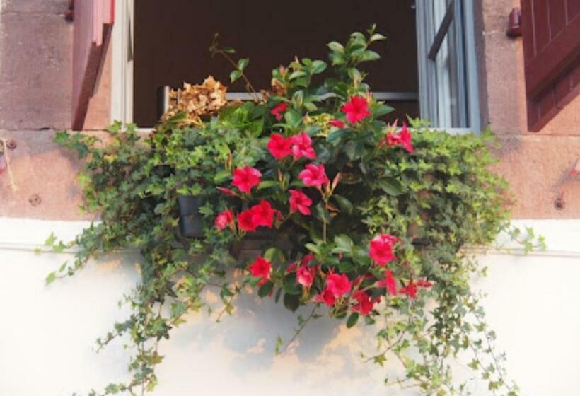 هاستل La Vita E Bella