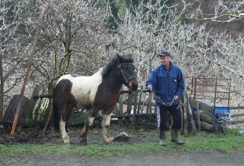 تختخواب و صبحانه Domaćinstvo Maksimović