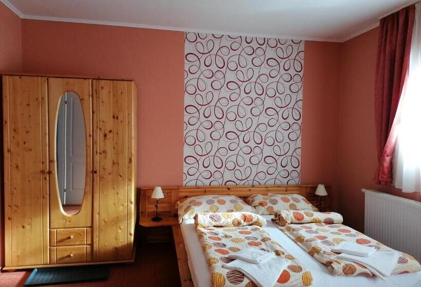 住宿加早餐 Medgyaszay Panzió