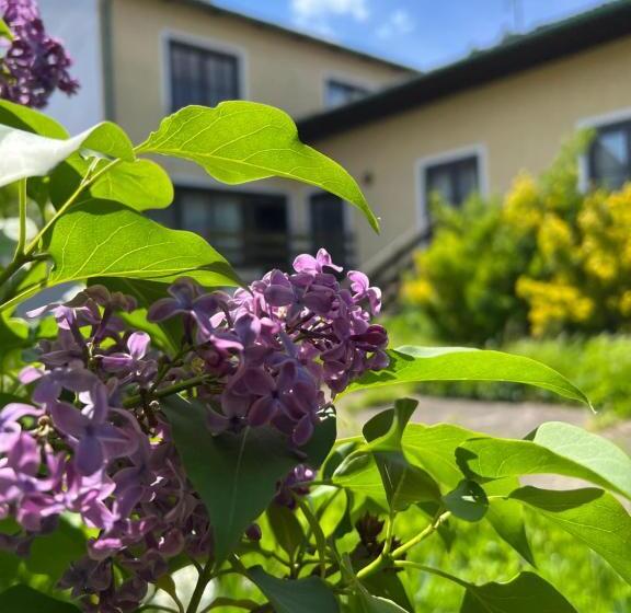 ベッドアンドブレックファースト Mediterranean Lake Escape House