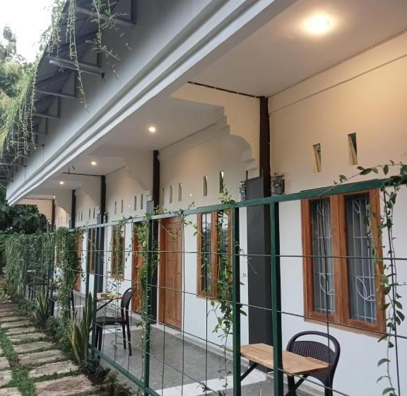 پانسیون Guest House D Valeri