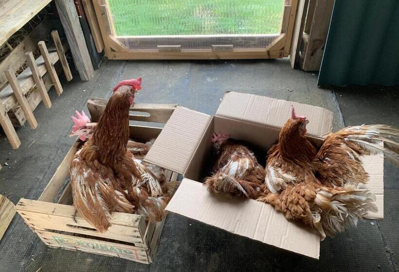 B&b Ecoantico Casa In Paglia