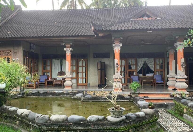 膳宿费 Narafa S Guest House