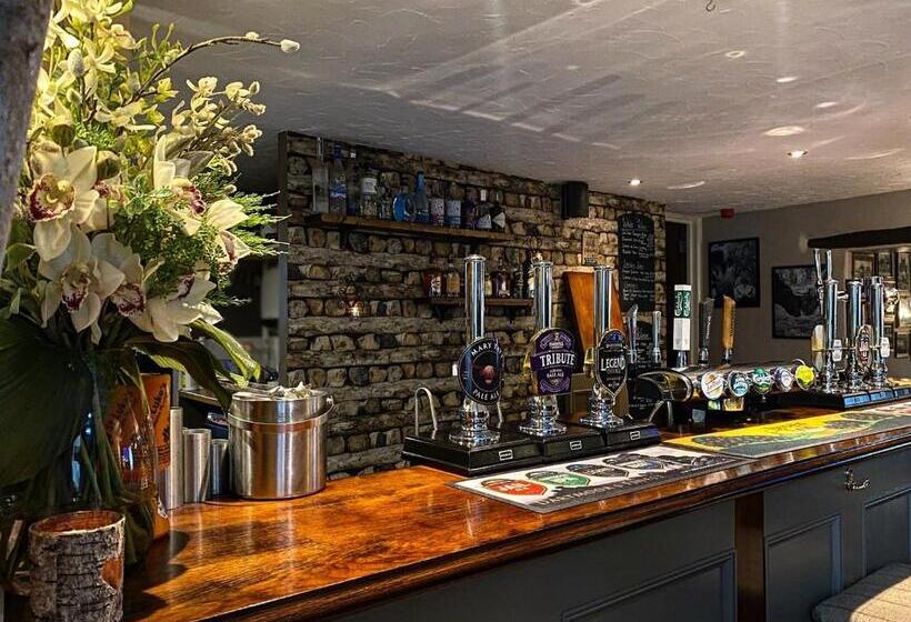 בית מלון כפרי The Mary Tavy Inn