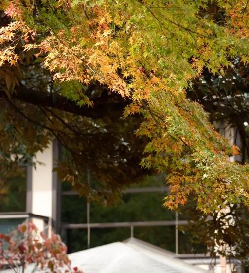 酒店 Noborioji  Nara