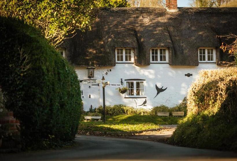 호텔 Brace Of Pheasants